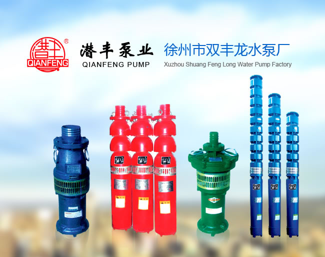 徐州市雙豐龍水泵廠(chǎng)專(zhuān)業(yè)供應(yīng)噴...